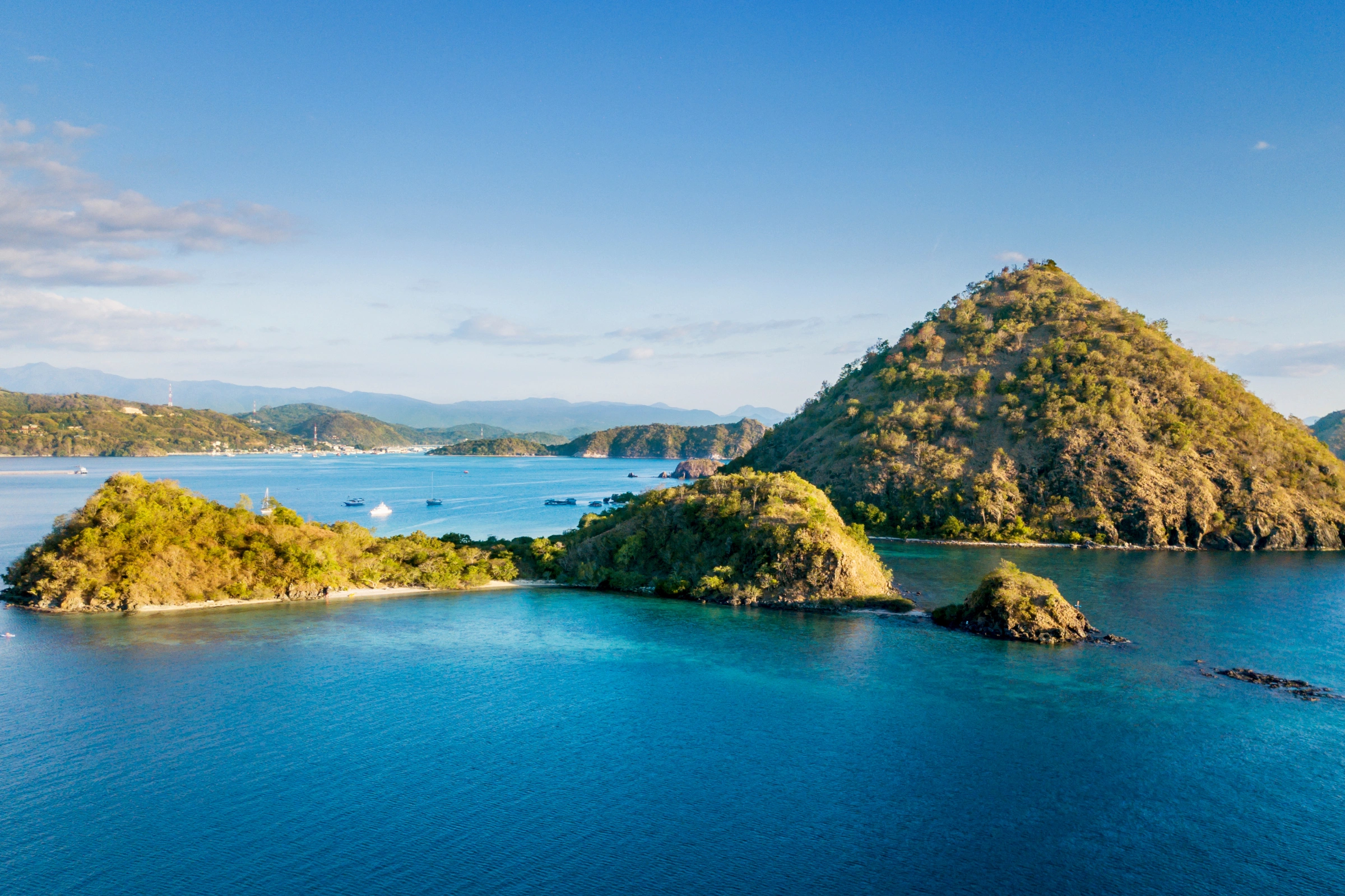 Flores_Island[1].webp